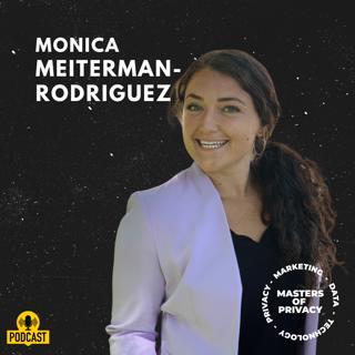 Monica Meiterman-Rodriguez: automation, data minimization and comparative law in DSRs (US focus)