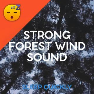 😴🍂 Strong FOREST WIND to Fall ASLEEP