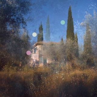 Summer Breeze | Rustling Leaves