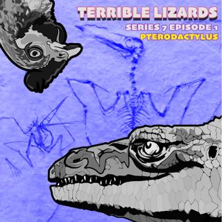 TLS07E01 Pterodactylus