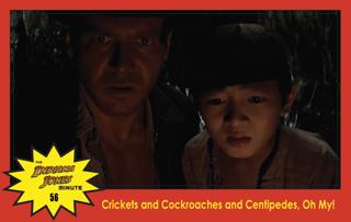 Temple of Doom Minute 56: Crickets and Cockroaches and Centipedes, Oh My! with Lila Higgins