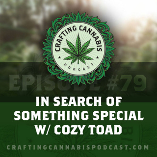 #79 - In Search of Something Special w/ Cozy Toad