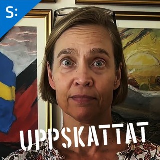 Charlotta Stern om vår konkurrenskraft och svensk arbetsmarknad