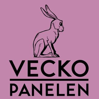 Veckopanelen #6: vårbudget och tiggeri