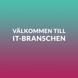 3) Välkommen till IT-branschen