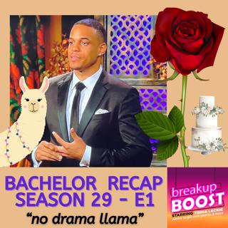 #364: The Bachelor Season 29 Premiere Recap: First Night, First Impressions (Episode 1 After Show)