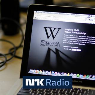 Wikipedia: Derfor har de Elon Musk på nakken