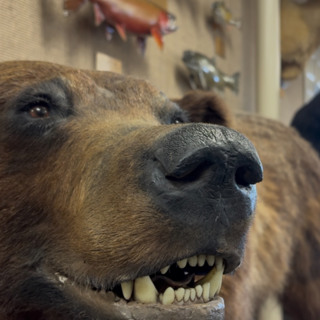 Fish and Game offers instructor-led hunter ed classes