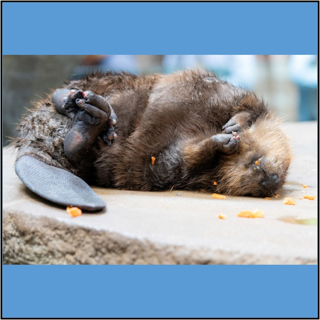 185 – 14 Ways to Enliven Your Zazen – Part 2