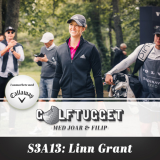 S3A13 Linn Grant
