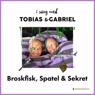 247. Broskfisk, Spatel & Sekret