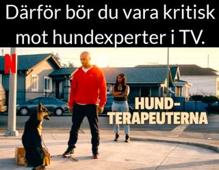 Därför bör du vara kritisk mot hundexperter i TV