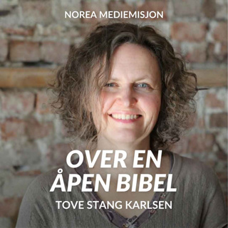 Lyset som viser vei - Tove Stang Karlsen (E2639-1)