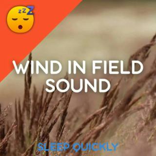 😴🍂 The WIND in FIELD Sound