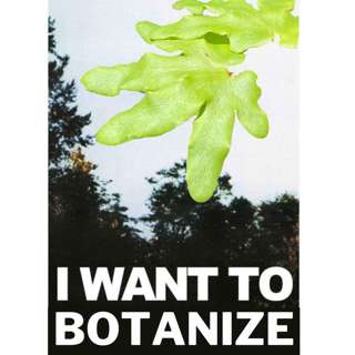 Episode 32: Arthur Haines, Research Botanist with Native Plant Trust and Determining Nativity of RT&E Species in New England
