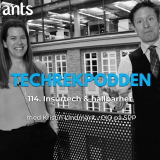 114. Insurtech & hållbarhet med Kristin Lindmark - CIO på SPP