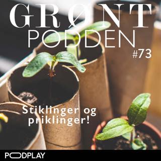 # 73 Stiklinger & priklinger!