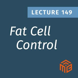 The Hidden Signals That Make Fat Cells Grow