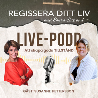 2. Att skapa goda tillstånd - med Susanne Pettersson