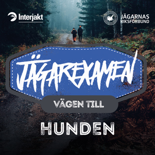 Vägen till Jägarexamen - Hunden