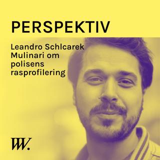 62. Präglas polisens agerande av rasism, Leandro Schclarek Mulinari?
