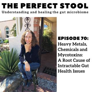 Heavy Metals, Chemicals and Mycotoxins: A Root Cause of Intractable Gut Health Issues