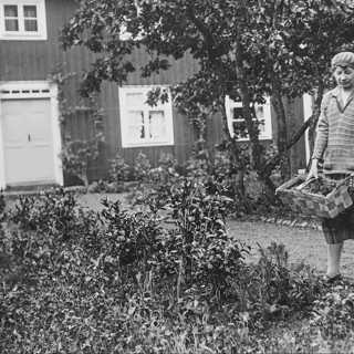 Elin Wägner, jorden och träden