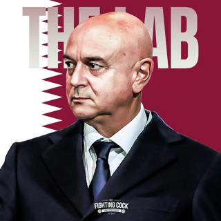 S2E29 | How Does A Qatari Takeover Change Tottenham?