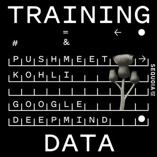 DeepMind's Pushmeet Kohli on AI's Scientific Revolution