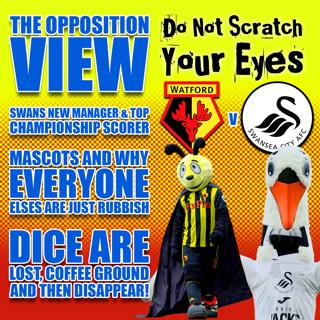OPPOSITION VIEW - SWANSEA CITY (HOME)