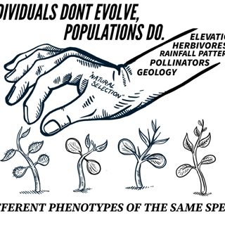 Plant Speciation Podcast for You Rotten Degenerates