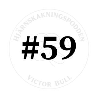 "Det är väl ingenting att skryta om!" – hjärnskakningar bland svenska ryttare – Margaretha Rödén #59