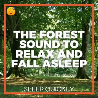 😴🍂🎵 A Soothing Sound Journey through the FOREST to RELAX and FALL ASLEEP Gently
