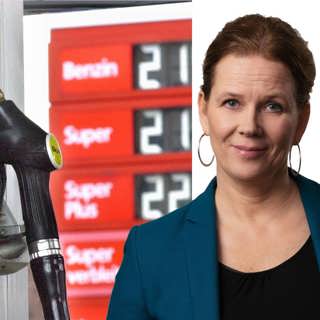 Vem vill säga att klimatomställningen kommer att kosta?