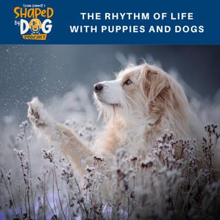 The Rhythm Of Life With Puppies And Dogs #120