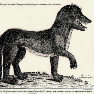4 Historical Mysteries Scholars Still Can't Explain