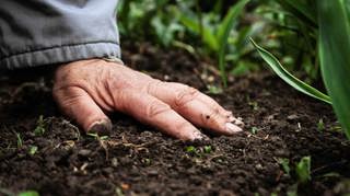 Ep 74 pt 2 Soil Revival
