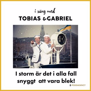 257. I storm är det i alla fall snyggt att vara blek!