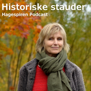 45/23: Historiske stauder med Marit Myrstad