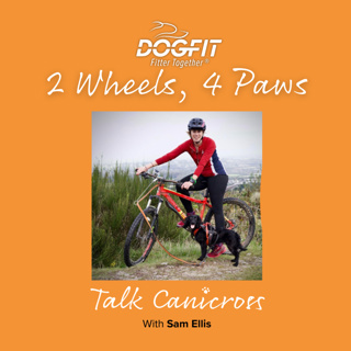 Two wheels, four paws - welcome to Bikejor
