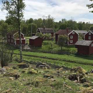 Bullerbymys i Stensjö by och råttkontakt i Stockholm