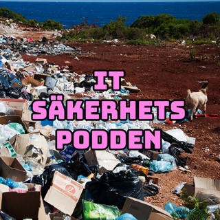 #80 - Säkerhet kring utdöd teknik
