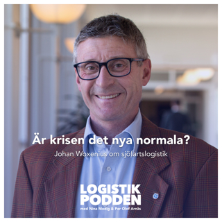 Är krisen det nya normala?