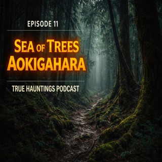 Case 11: The Sea of Trees