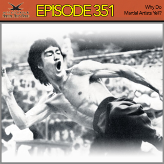 Episode 351 - Why Do Martial Artists Yell?