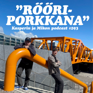 293. Rööriporkkana