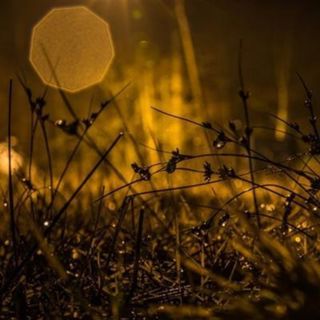 Summer Night Sprinkle - 10 Hours Sleep Sound