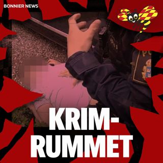 Familjens Stockholmstripp – vansinnesfärd och skottlossning
