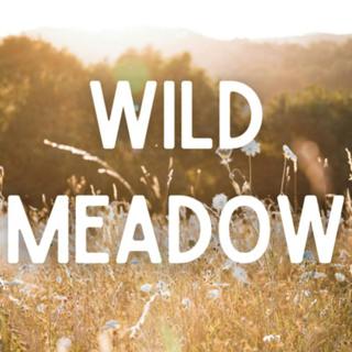 Wild Meadow - Relaxing music with Birdsong fall asleep in 20 minutes
