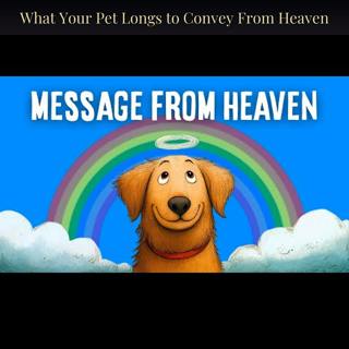 What Your Pet Longs to Convey From Heaven